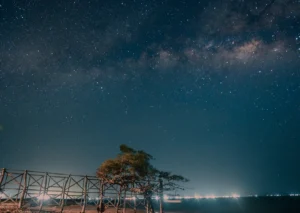 Noche de Estrellas Wayu